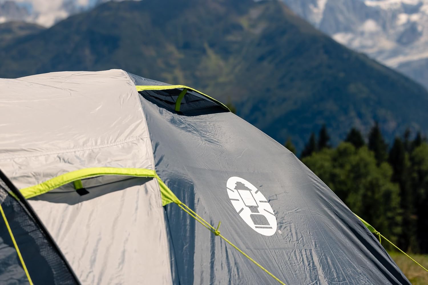 Coleman Tent Darwin 2-4 Person | Compact Lightweight Dome Tent | Models with Darkened Bedroom | Camping, Festival and Hiking Tent | 4500mm Waterproof | with Sewn-in Groundsheet - Image 10