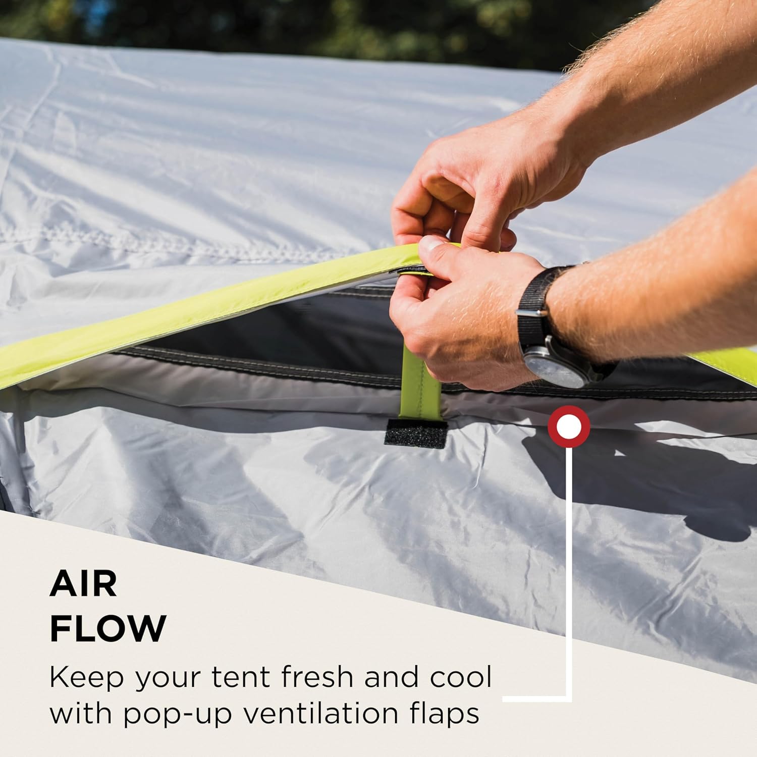 Coleman Tent Darwin 2-4 Person | Compact Lightweight Dome Tent | Models with Darkened Bedroom | Camping, Festival and Hiking Tent | 4500mm Waterproof | with Sewn-in Groundsheet - Image 5