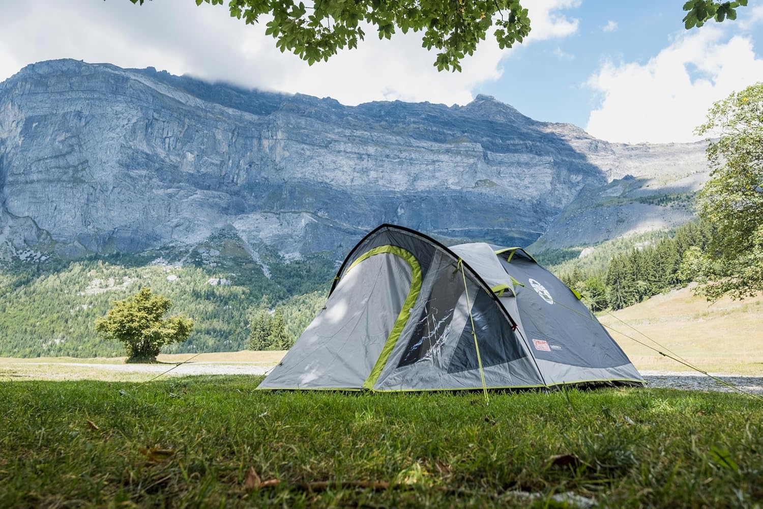 Coleman Tent Darwin 2-4 Person | Compact Lightweight Dome Tent | Models with Darkened Bedroom | Camping, Festival and Hiking Tent | 4500mm Waterproof | with Sewn-in Groundsheet - Image 16