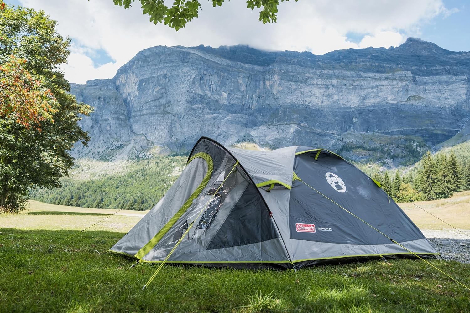 Coleman Tent Darwin 2-4 Person | Compact Lightweight Dome Tent | Models with Darkened Bedroom | Camping, Festival and Hiking Tent | 4500mm Waterproof | with Sewn-in Groundsheet - Image 17